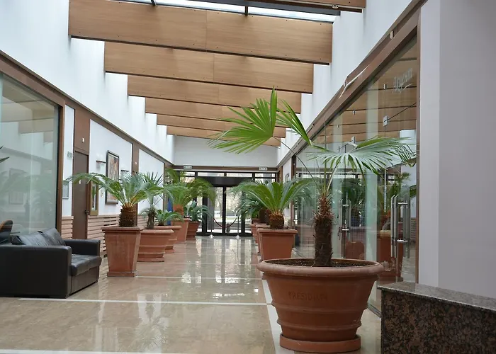 ホテル Presidivm Palace ロヴェチ