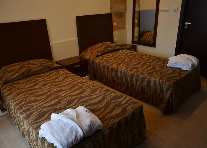 Presidivm Palace 4* ロヴェチ