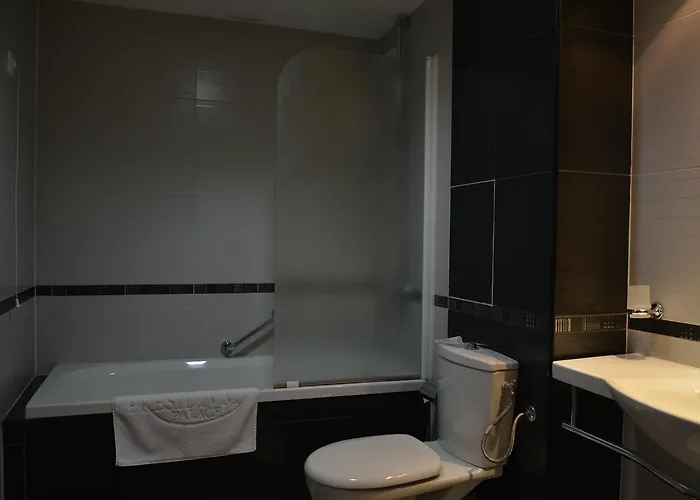 Presidivm Palace 4* ロヴェチ