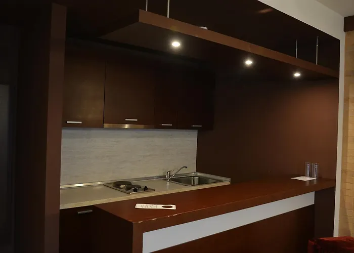 Presidivm Palace 4* ロヴェチ